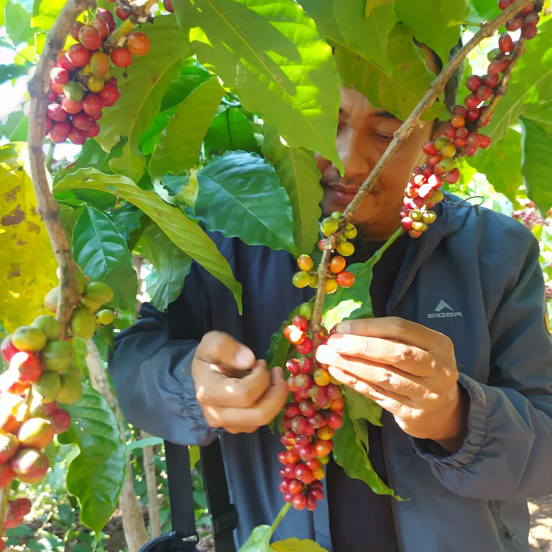 Kopi Istimewa untuk Orang Istimewa